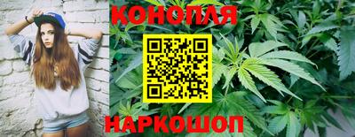 шишки Пушкино