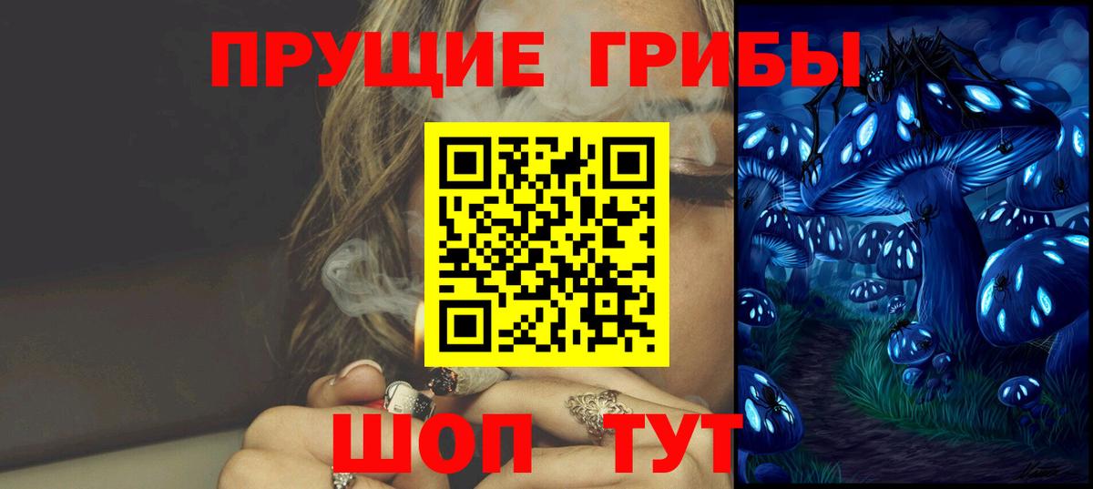 Псилоцибиновые грибы GOLDEN TEACHER Солнечногорск